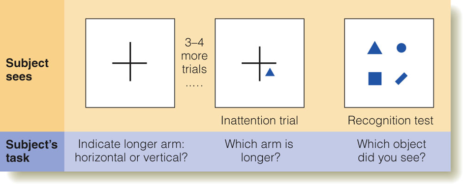 Image:06Inattentional blindness.png