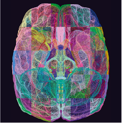 Image:03color brain.png