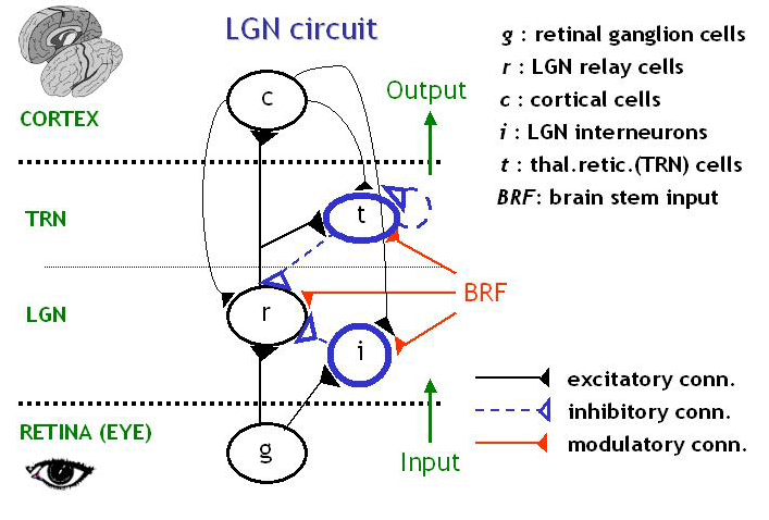 Image:circuitlgn.png