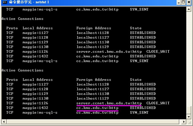 圖像:netstat5.jpg