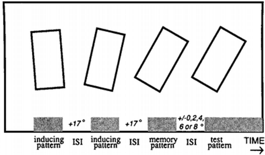 Image:08representational momentum.png