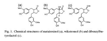 Image:Wikstromol、matairesinol以及dibenzylbutyrolactol.JPG