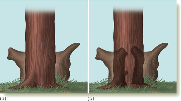 Image:05Gestalt law as Heuristics.png