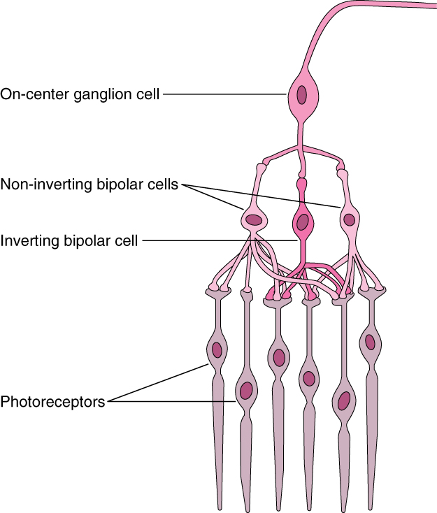 Image:network.jpg