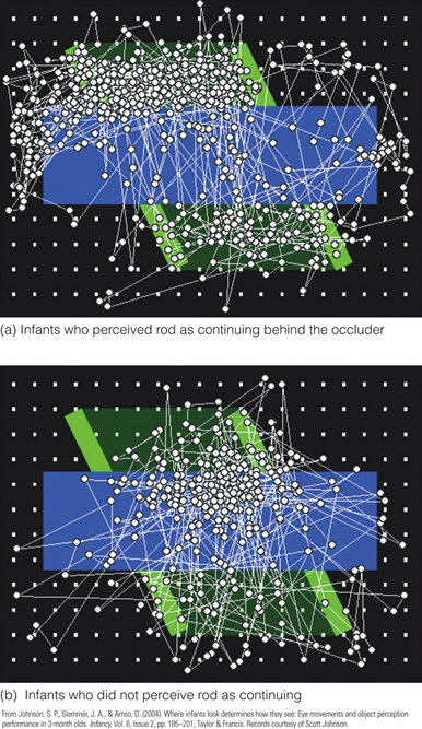 Image:06perceiver % nonperceiver.png