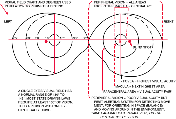 Image:VisualFieldAcuity.png