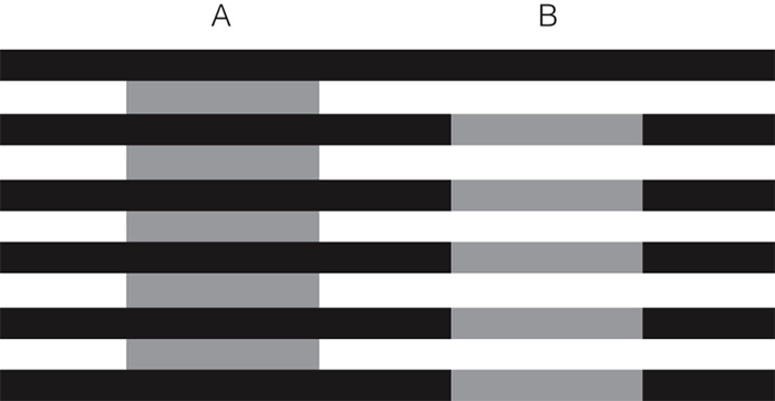 Image:03Simultaneous contrast3.png