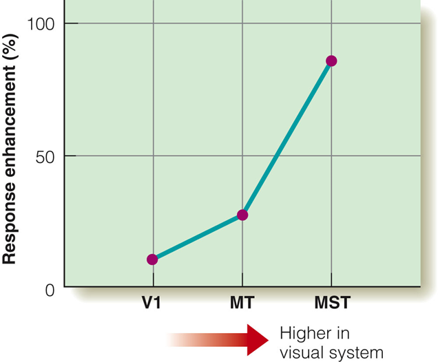 Image:06Enhancement of the rate of nerve firing.png