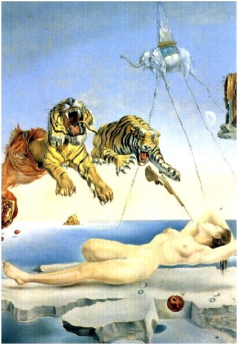 Image:Salvador dali dream.jpg