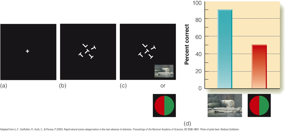 Image:06Percept scene & attention.png