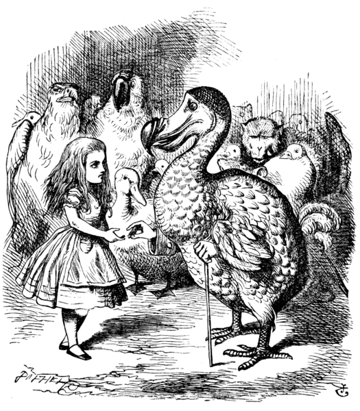 Image:Alice par John Tenniel 09.png