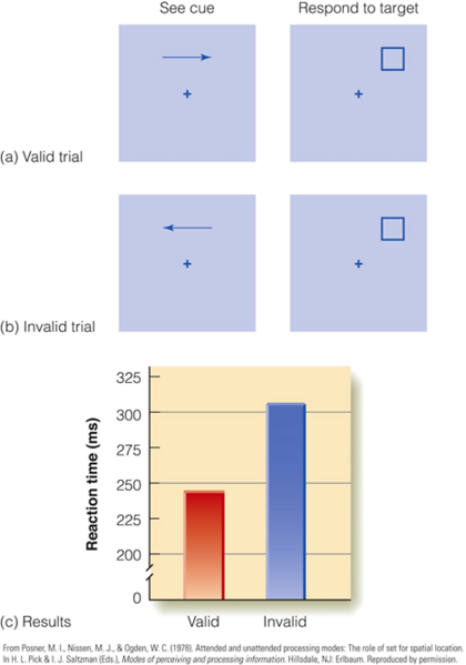 Image:06Spatial attention.png