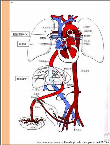 Image:478.jpg