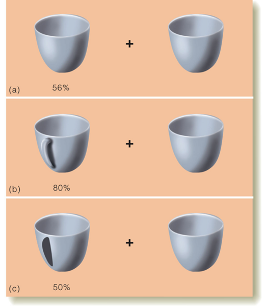 Image:07Affordances.png