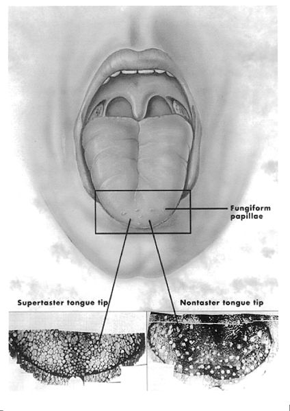 Image:Chemical Senses13.jpg